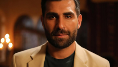 من هو مهدي برويز، عمره، زوجته، أعماله