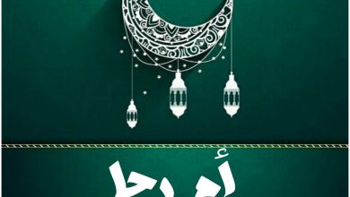 قصة مسلسل أم رجا، عدد حلقاته، أبطاله، عرضه 10 قصة مسلسل أم رجا، عدد حلقاته، أبطاله، عرضه