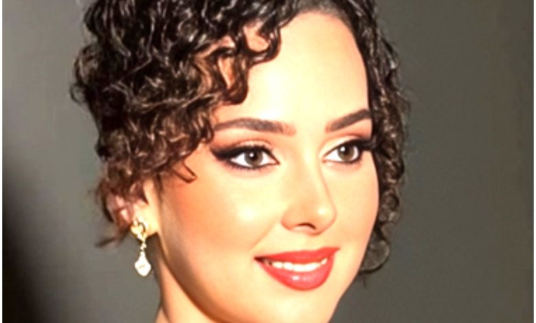 من هي شيرين أحمد طارق، عمرها، زوجها، أعمالها