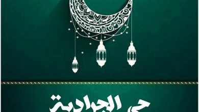 قصة مسلسل حي الجرادية، عدد حلقاته، أبطاله، عرضه 12 قصة مسلسل حي الجرادية، عدد حلقاته، أبطاله، عرضه