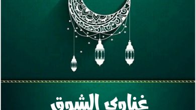 مسلسل غناوي الشوق، قصته، عدد حلقاته، أبطاله، عرضه