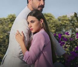 مسلسل مش مهم الاسم، قصته، عدد حلقاته، أبطاله وعرضه
