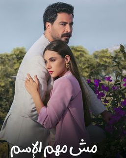 مسلسل مش مهم الاسم، قصته، عدد حلقاته، أبطاله وعرضه
