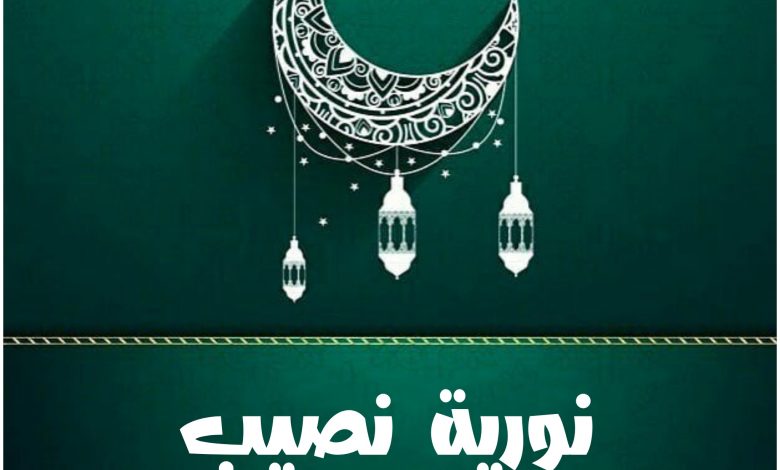 مسلسل نورية نصيب، قصته، عدد حلقاته، أبطاله وعرضه