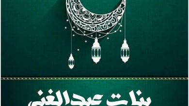 مسلسل بنات عبدالغني، قصته، عدد حلقاته، أبطاله وعرضه