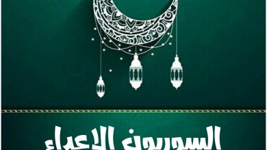 مسلسل السوريون الاعداء، قصته، عدد حلقاته، أبطاله، عرضه